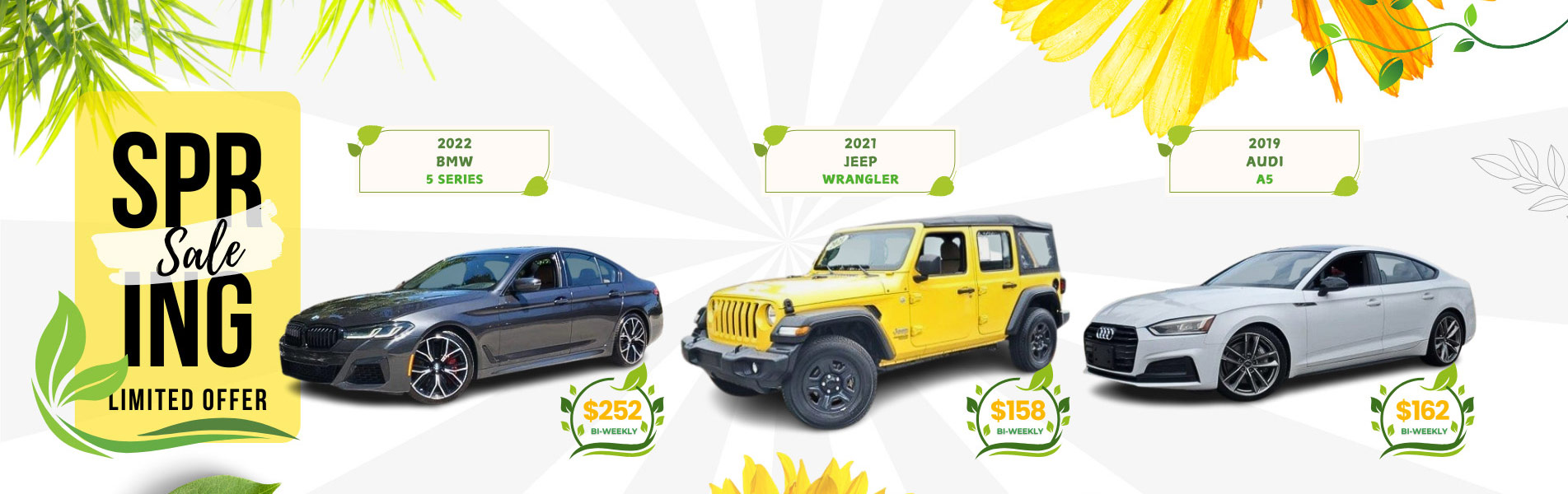 Spring Sale Limited Offer