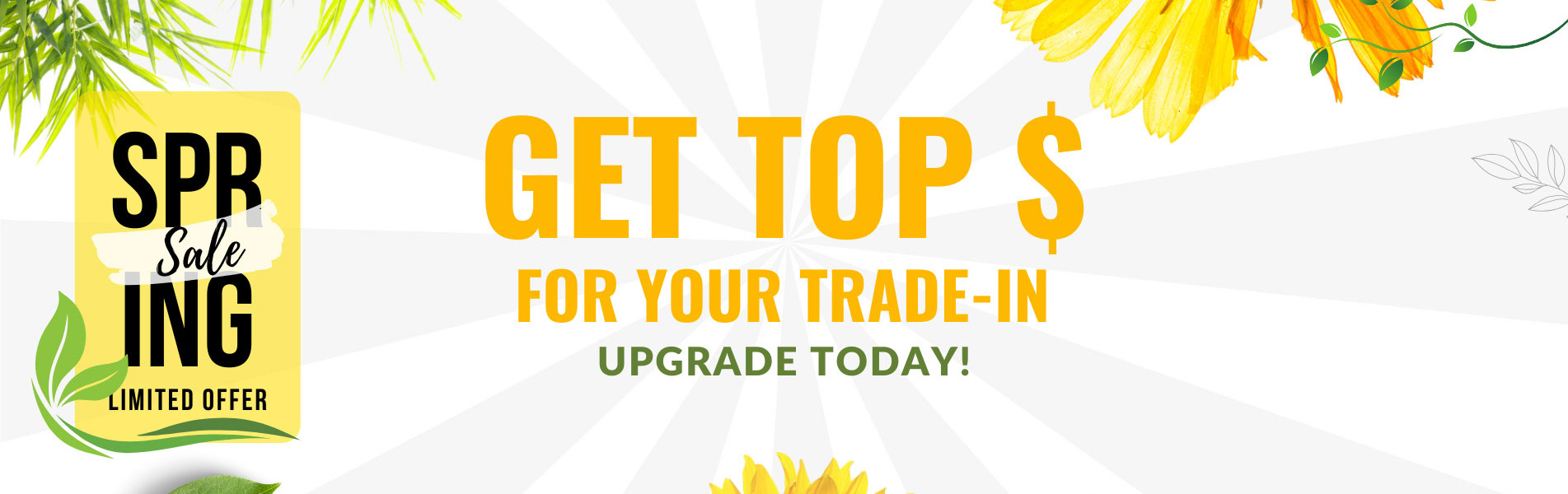 Spring Sale Limited Offer